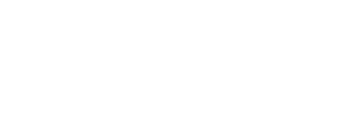 Pamela Concept